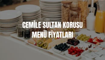 Cemile Sultan Korusu menü fiyatları