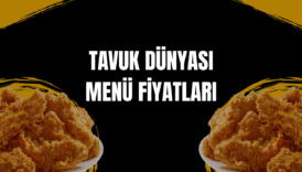 tavuk dünyası menü fiyatları