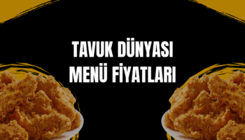 tavuk dünyası menü fiyatları