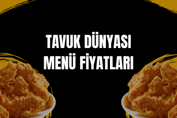 tavuk dünyası menü fiyatları
